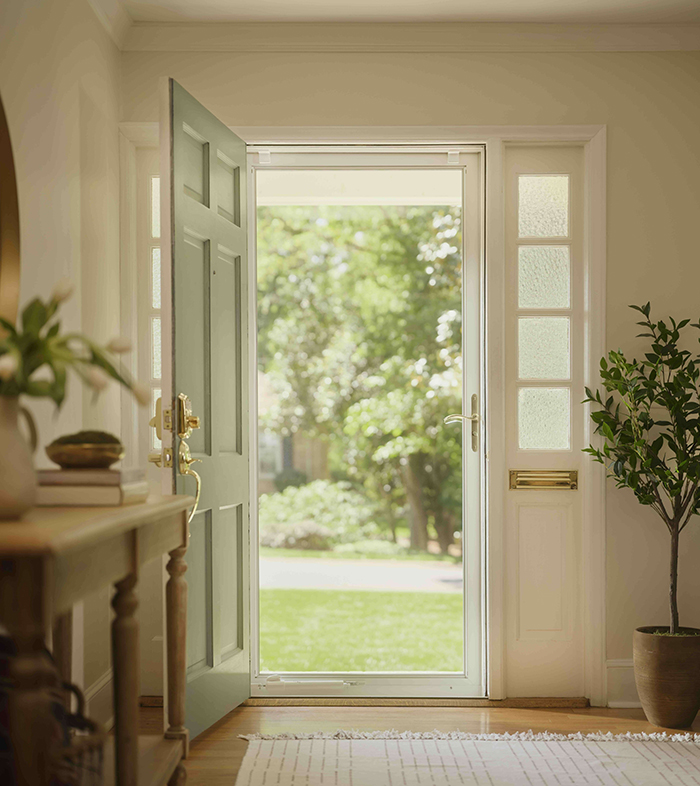 Storm door